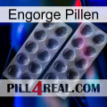 Engorge Pills 31